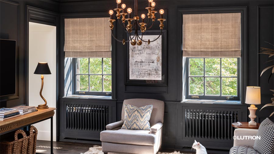 A cozy living room with dark walls, a chandelier, and natural light filtering through woven shades. A plush armchair and a small white cat add warmth to the space.